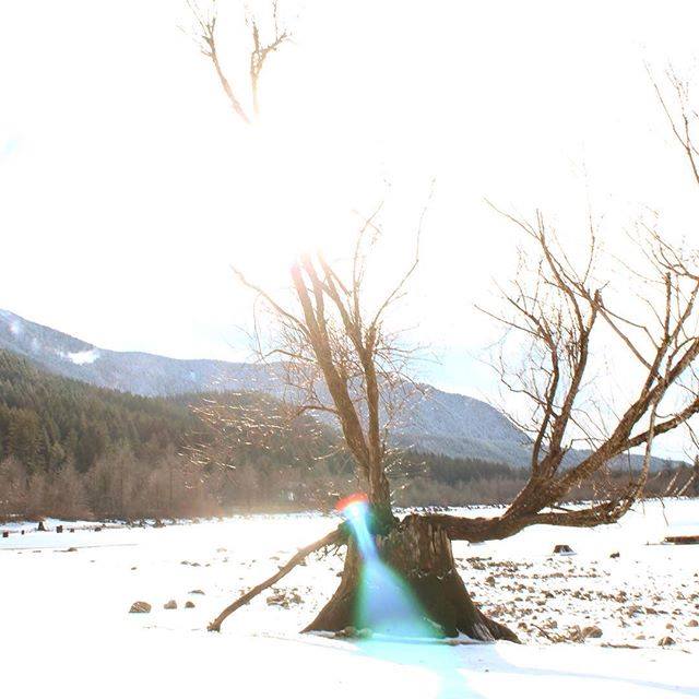 Snow and sunshine. The #PNW has it all.