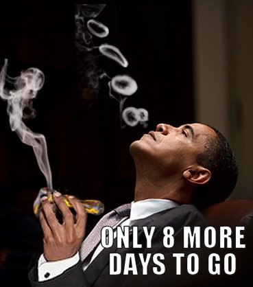 CannaMailer (@cannamailer) on Twitter photo 