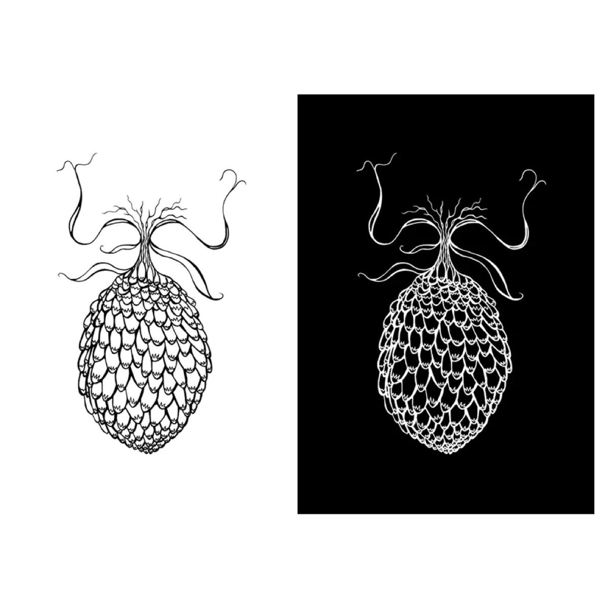 BeastandBurden's tweet photo. 'PLANTAE' 
Available on our shop - LINK IN BIO🔝
•

#artonline#emergingartists#illustration#ocolus#eyes#science#baw#drawing#editions#monsters https://t.co/yoUJY4UVbR
