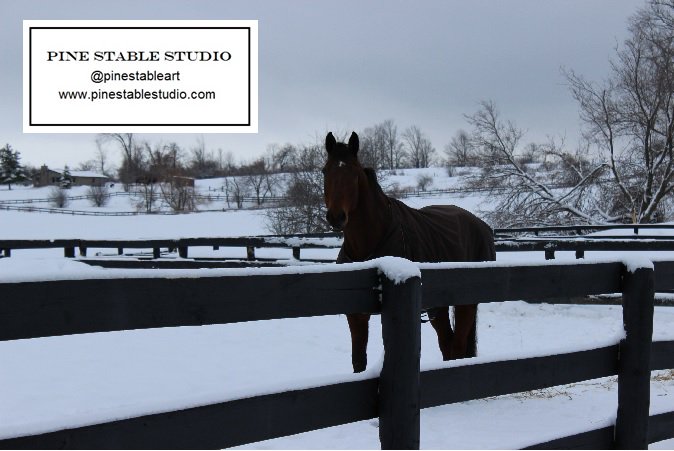 PineStableArt's tweet image. Snowballing is damaging enough to cause strain on leg structure and bruising on soles. #equestrian #horses