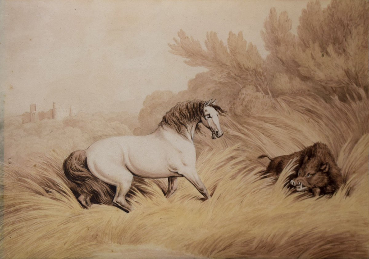 AraderGalleryPA's tweet photo. Samuel Howitt (British, 1756-1822)
Original watercolors for A New Work of Animals
from the Fables of Aesop
Drawings 
$12,500 each https://t.co/1VnKS35c6L