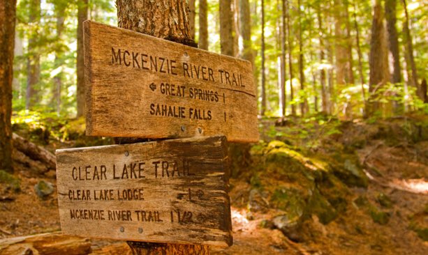 RunDestination's tweet image. McKenzie River Trail 
(Eugene, Oregon)
