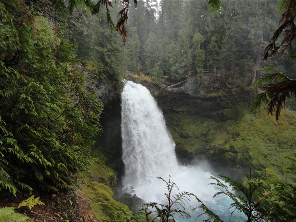 RunDestination's tweet image. McKenzie River Trail 
(Eugene, Oregon)