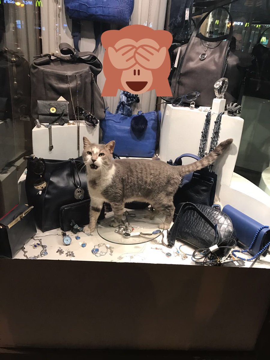 True legend tweet media