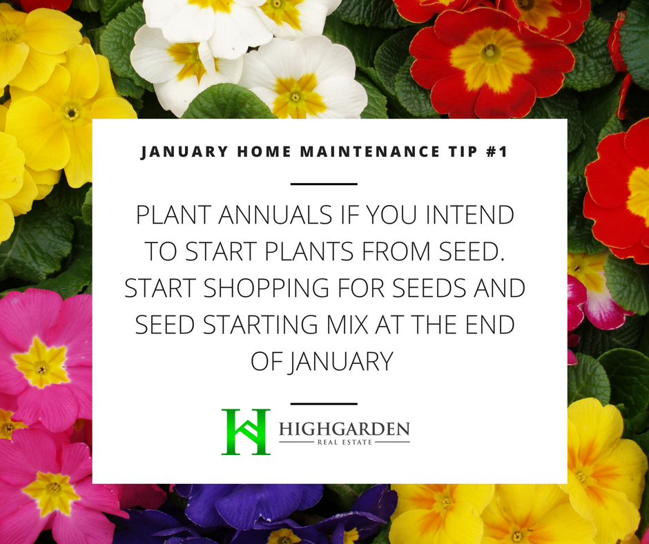 January Home Maintenance Tip #1: Plant annuals if you intend to start plants from seed. Start shopping for seeds at the end of January.