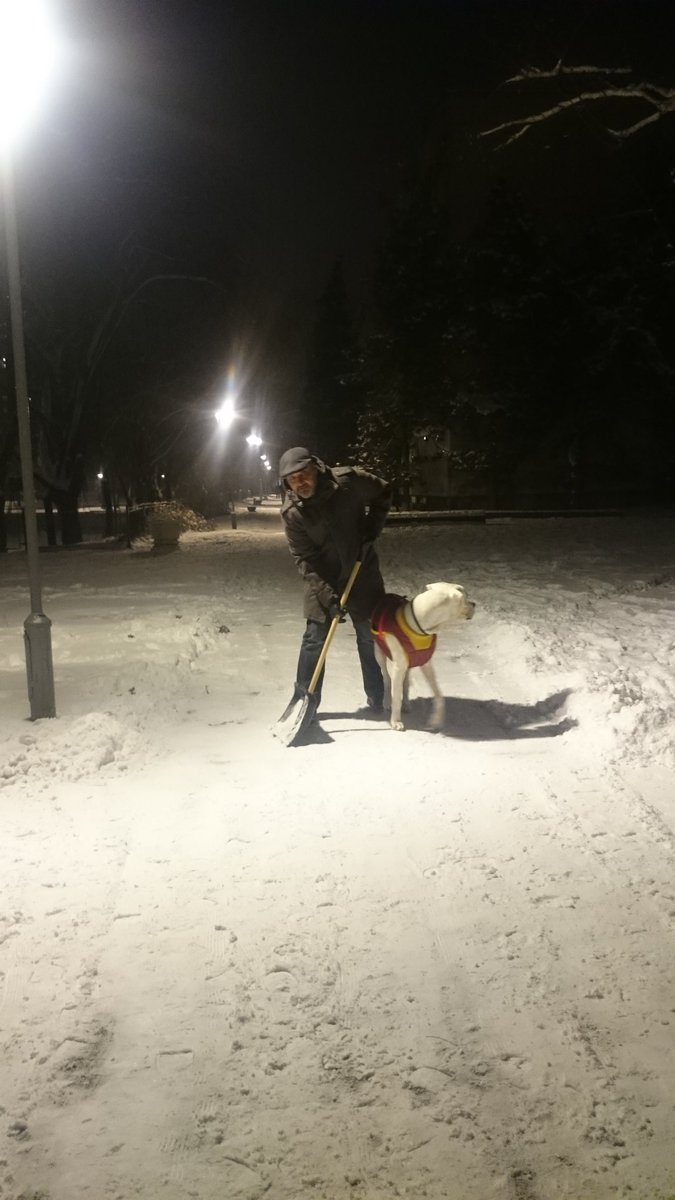 View image on Twitter View image on Twitter