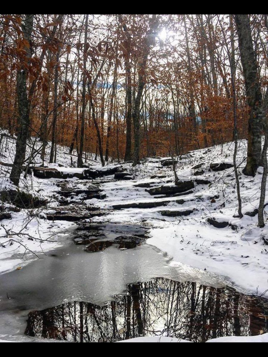 OzarkThreads's tweet photo. Every Journey Has A Story #ozarkthreads https://t.co/OtBTyWwAsD