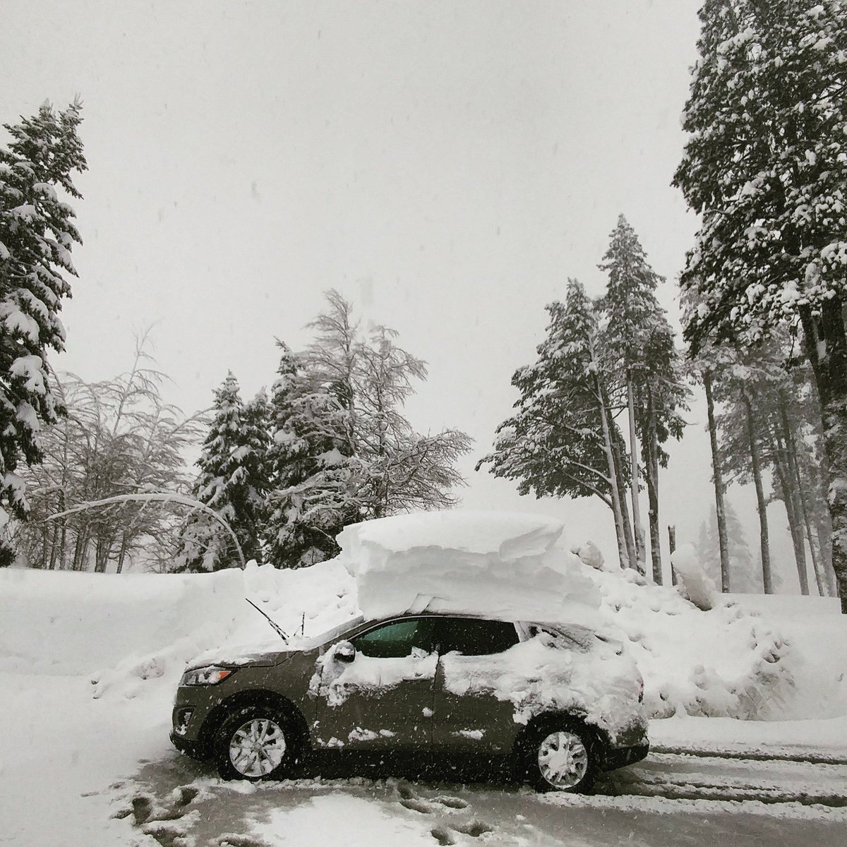 Power is back! We're planning on having limited/delayed ops tmrw. Read blog to see what's up: bit.ly/2j9vc1x #januBURIED