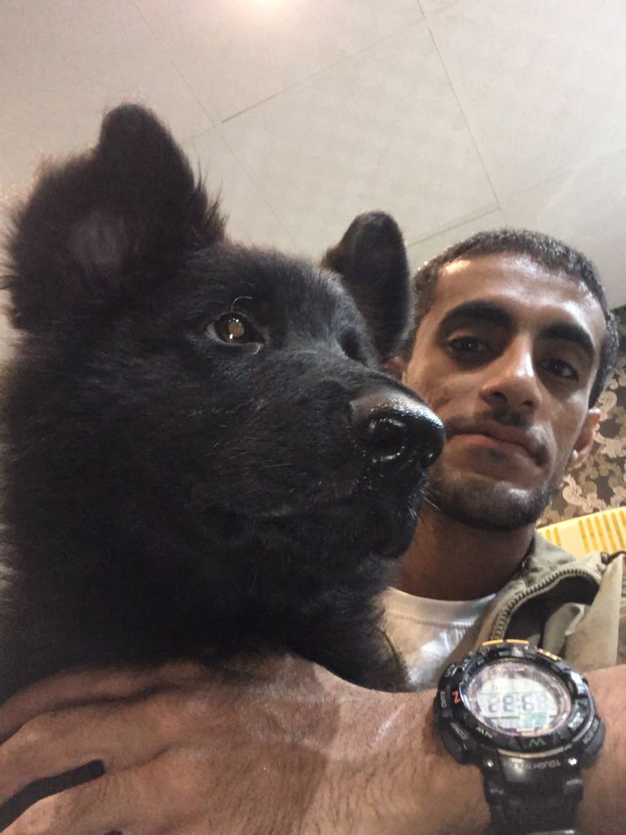 K9_alphateam's tweet photo. https://t.co/dxIQVNOlwB