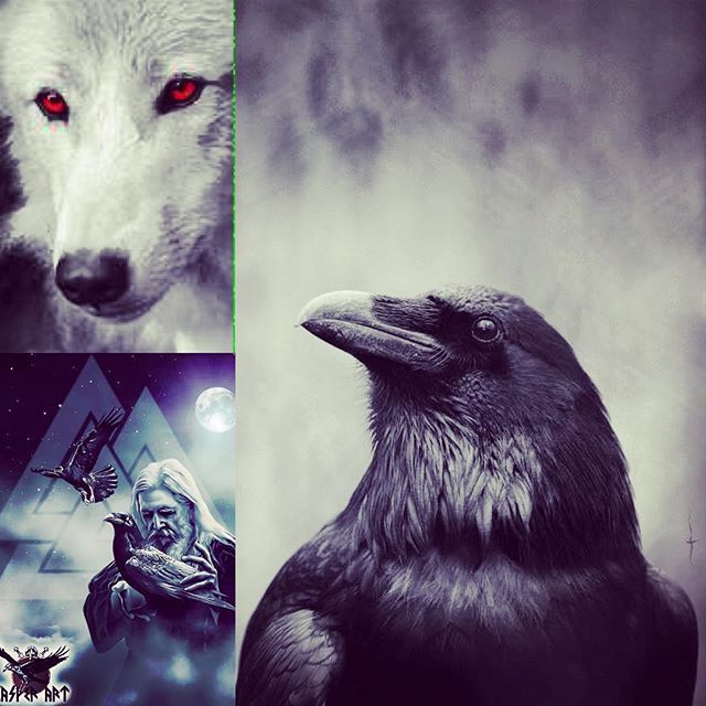 Imiswolfgirl's tweet image. Hail