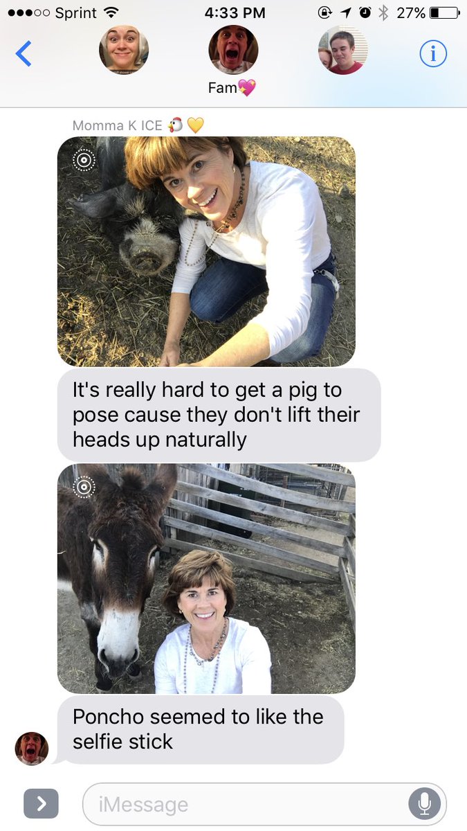 bethly_hallows_'s tweet photo. I sat at a desk all day for work &amp; there are jobs out there where people can take selfies with farm animals and get paid for it. https://t.co/TG0gFXG01U