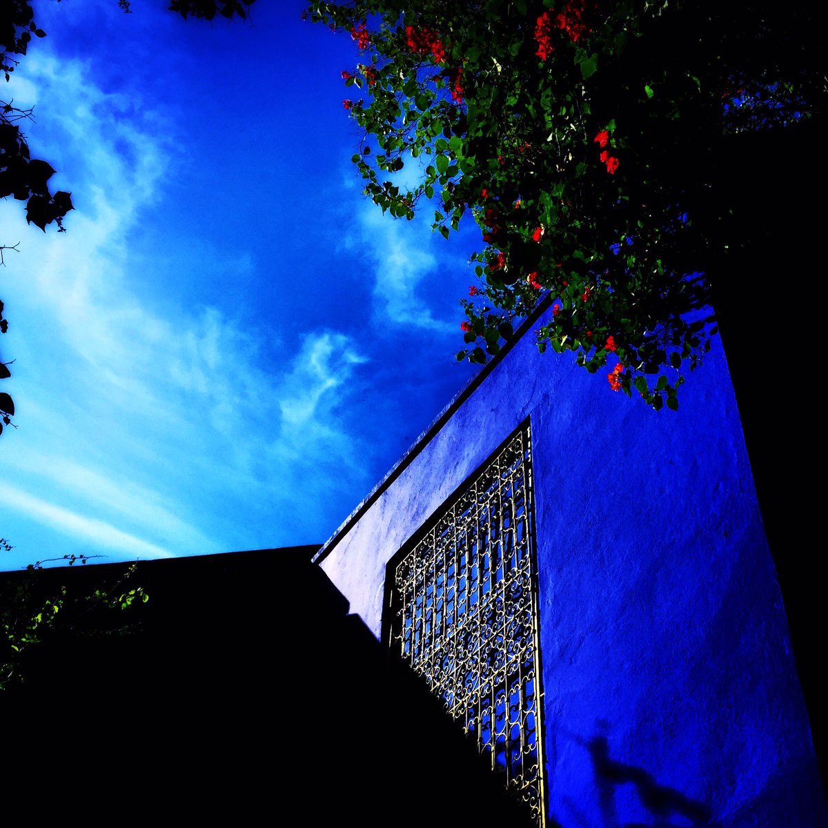 lza_mrs's tweet photo. #Blu #YvesSaintLaurent #Marrakech https://t.co/Y2lWPQYs7G