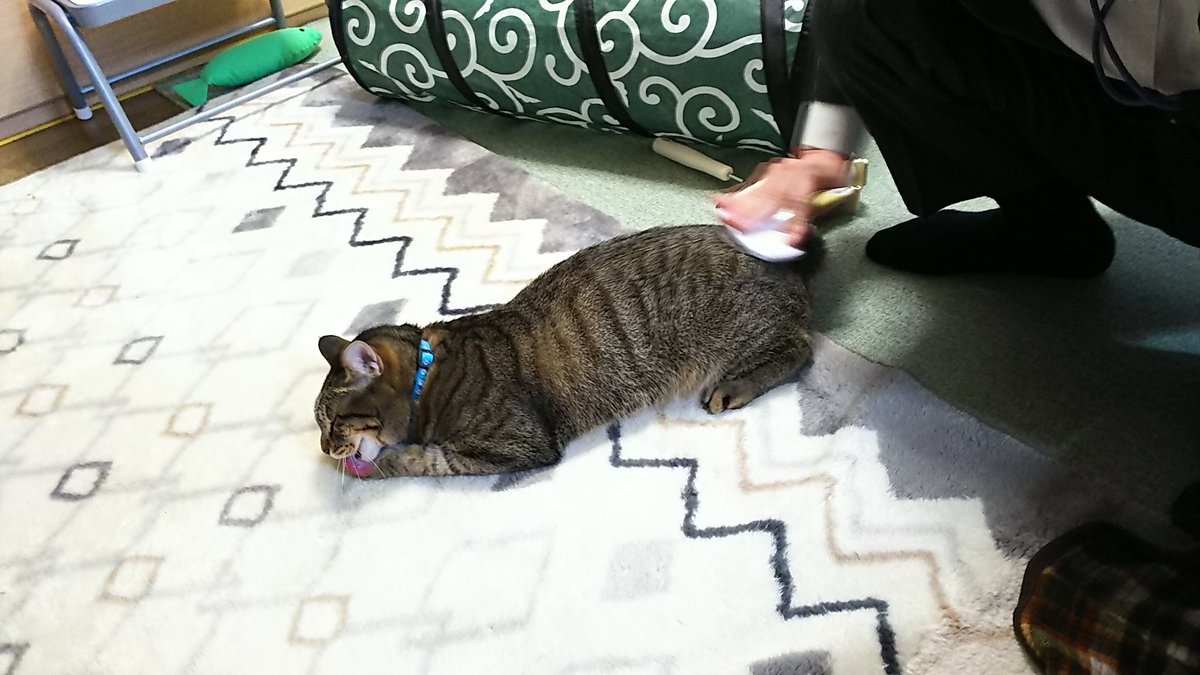 お父さん大好き Twitter Search