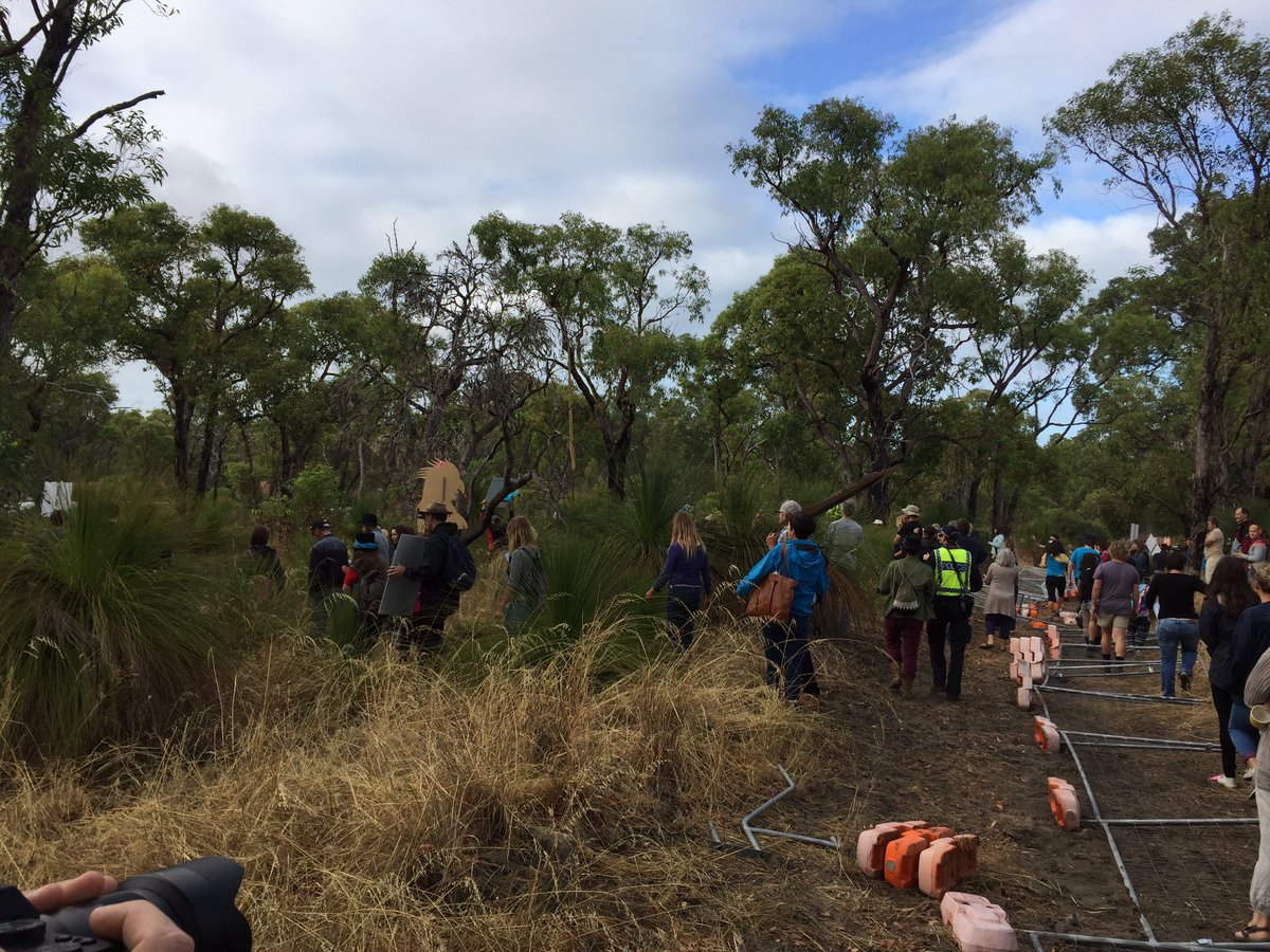 GeoffBice's tweet photo. Fence line breached by large numbers at Coolbellup bushland #NoRoe8 #savebeeliarwetlands #rethinkthelink https://t.co/xg2D5Qx7Jj