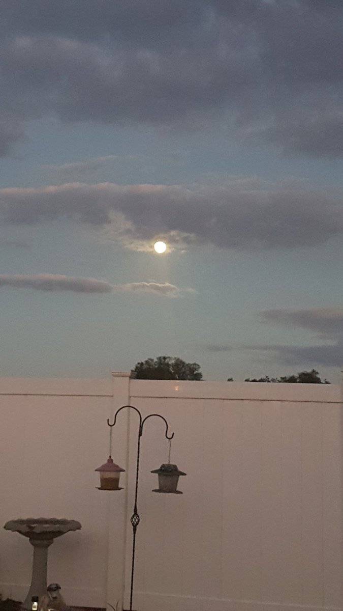 sellars_mandi's tweet image. The moon is out tonight.
#ocoee.
@TTerryWFTV 
#moon #beautifuloutside #mandisellarsphotography