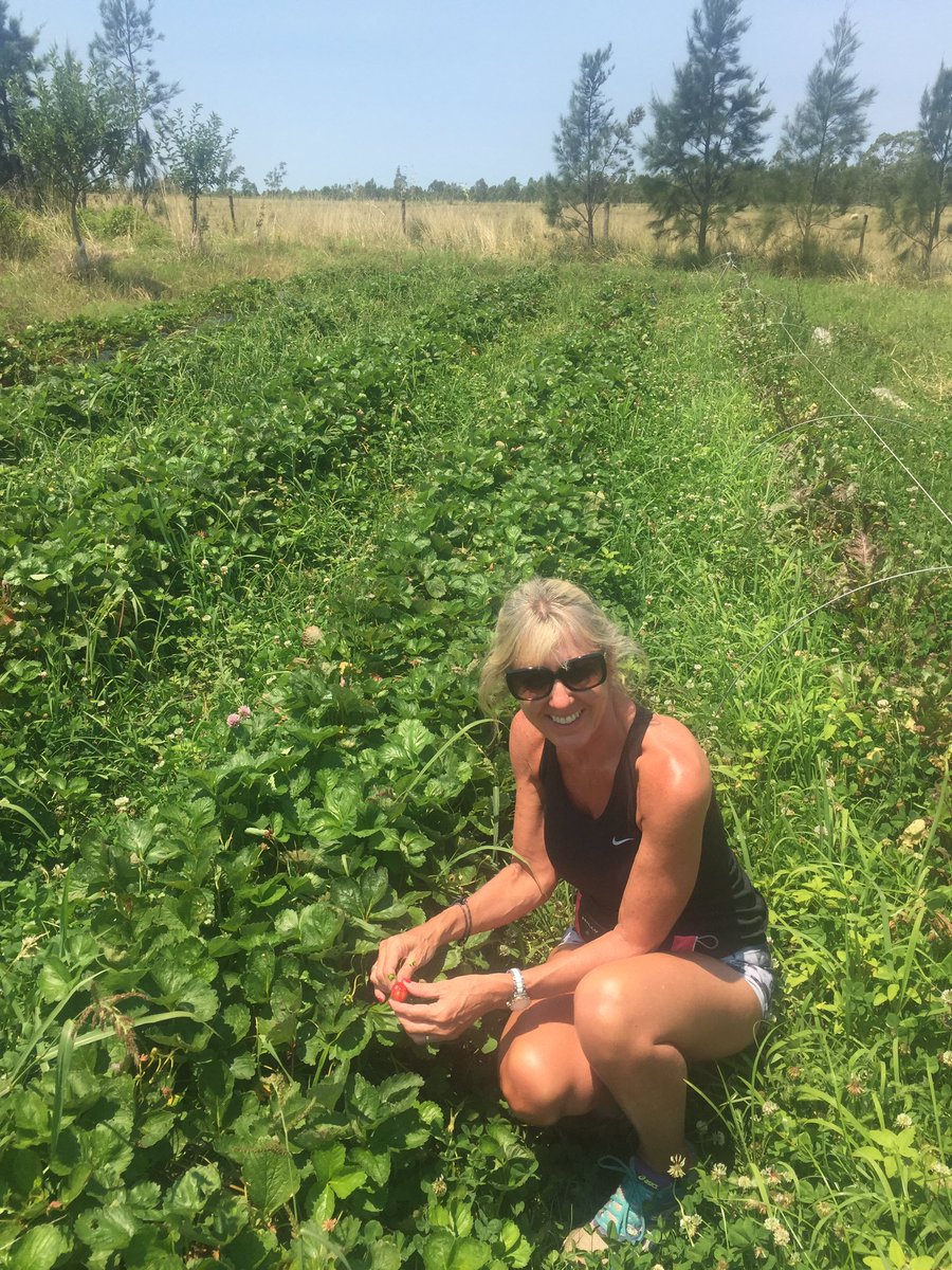 Stephworth14's tweet photo. Great thing about staying at this farm. Help yourself to dinner and it's all Organic 😊#organic https://t.co/XdA6ZI142j