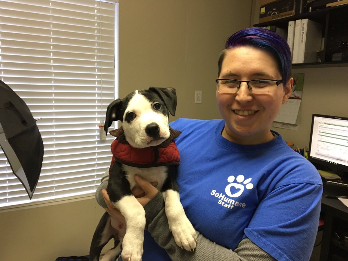 SoHumane tweet media