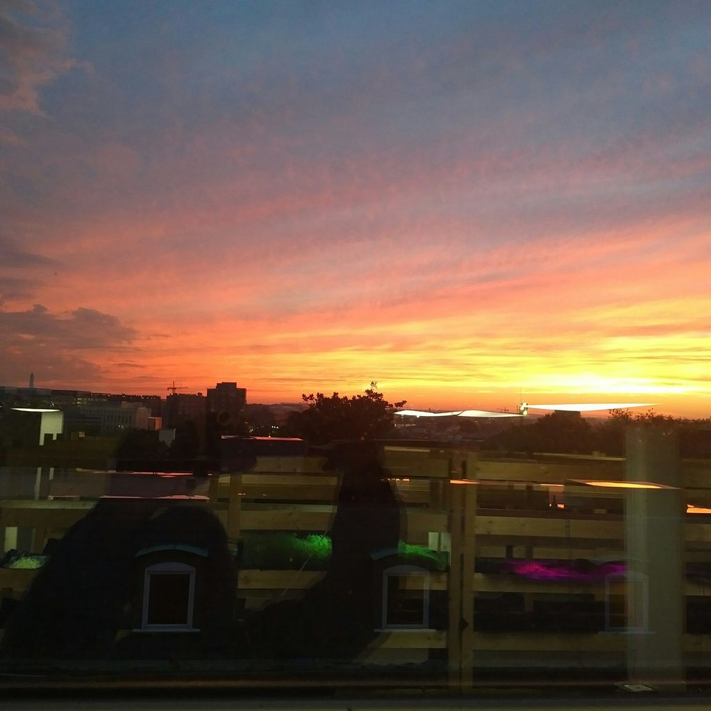 Loving this view from the farm. #urbanfarm #dc #locals