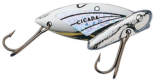 bigredsbait's tweet photo. https://t.co/gvlWS5Mn0v
we now carry Cicada's online
#Bigredsbait #Fishing #Trout #WhiteBass #Jigging #Castinglures #JiggingSpoons https://t.co/mincULKPrx