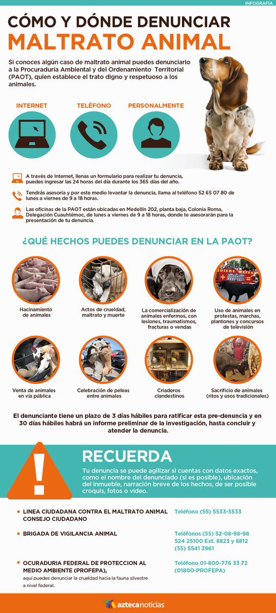 mundocan's tweet photo. Te dejamos esta infografía para que sepas: https://t.co/h1D1k4E5Gp