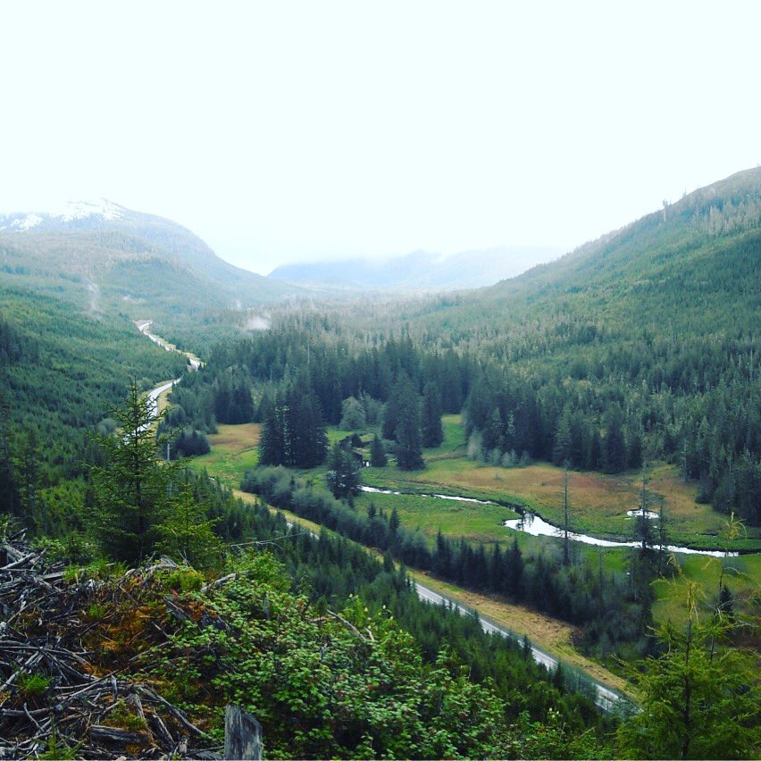 Fatracks_'s tweet photo. Blast from the past bear hunting on prince of wales island. #beautiful #alaska https://t.co/l9j9N6IZjK
