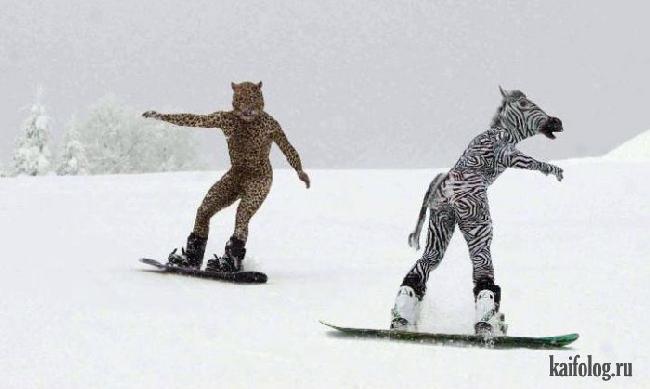 пьяные сноубордисты. лыжник прикол. пес на сноуборде. шутки про сноубордистов. сноубордисты приколы.