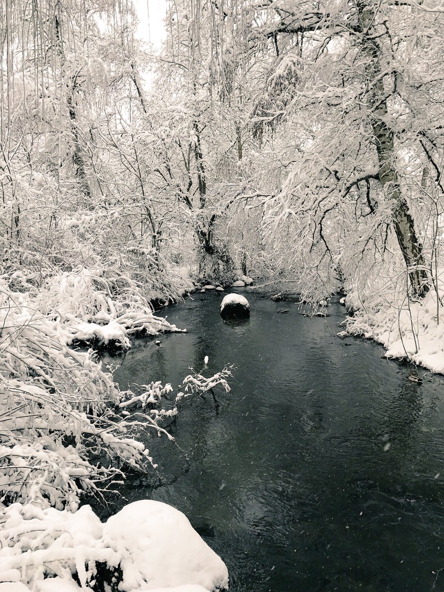 VirtualScholars's tweet photo. #VirtualScholars Tech Kurt's #snowday pics. #pdxsnow #pdxtst Hey kids! After a chilly day in #pdx, U can still work #online! @CanvasLMS https://t.co/kXeJmPp4aH