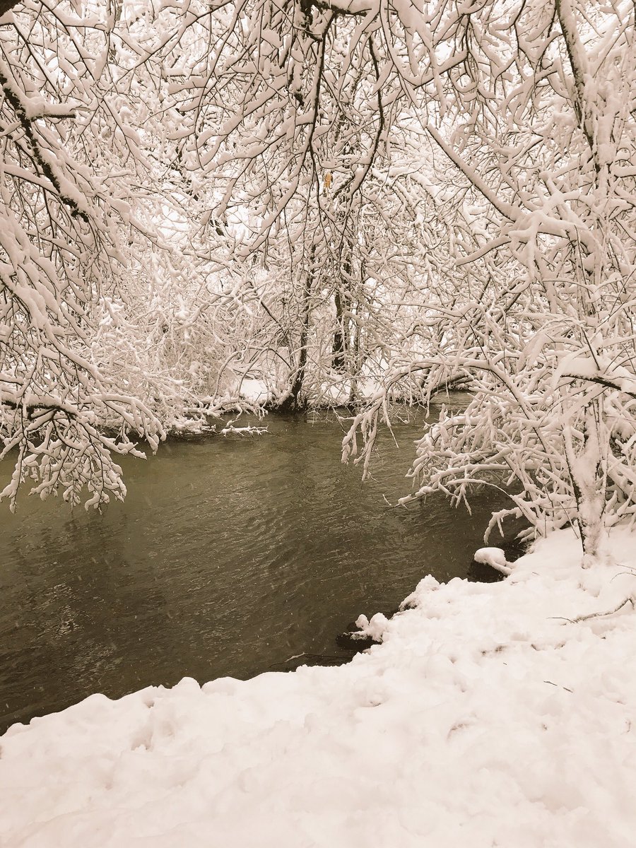 VirtualScholars's tweet photo. #VirtualScholars Tech Kurt's #snowday pics. #pdxsnow #pdxtst Hey kids! After a chilly day in #pdx, U can still work #online! @CanvasLMS https://t.co/kXeJmPp4aH