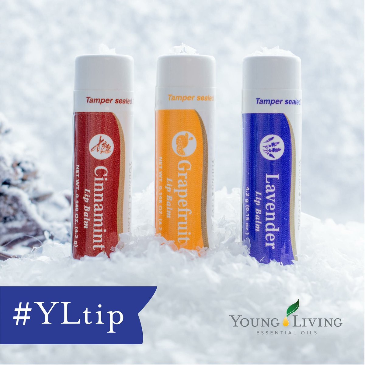 CleanChanges4Me's tweet image. I concur these beauties are perfect for winter lips. #yltip