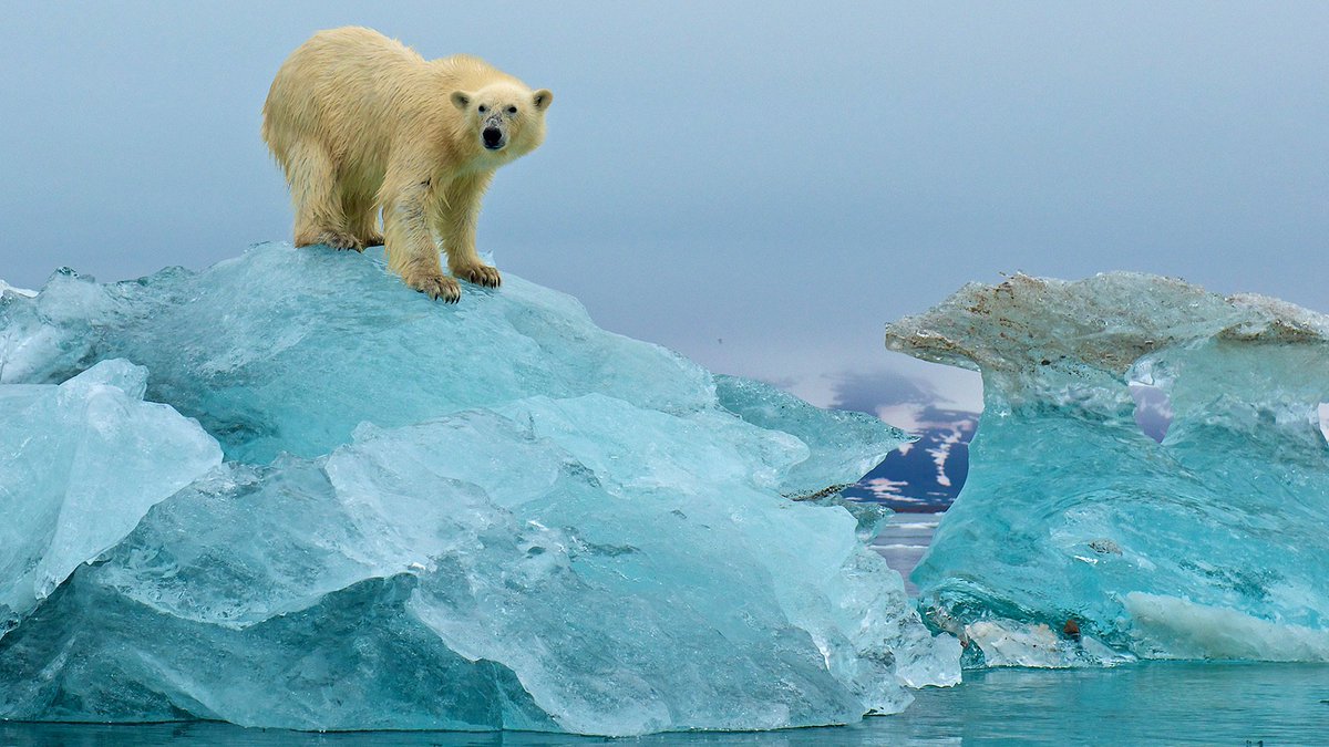 Maybe there is a chance we can still move forward without taking a huge dangerous step… bit.ly/2ilr7pv