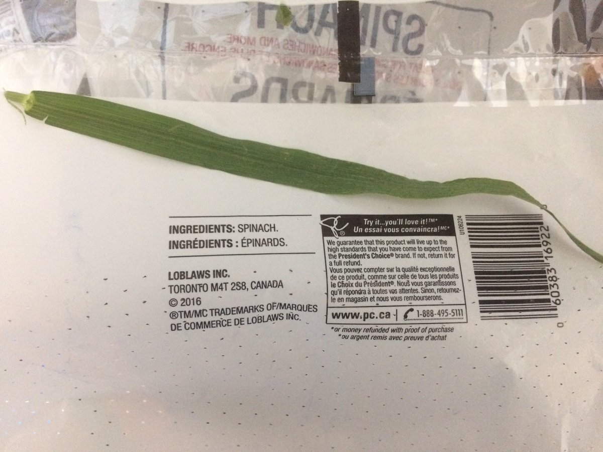 MusicOnMyMind86's tweet photo. @PresChoice  ....is there supposed to be grass in my spinach?... yuck 🤢 https://t.co/8Ar8hxNQDc