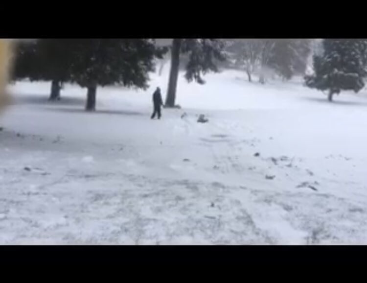 VirtualScholars's tweet photo. #VirtualScholars teacher Trask's #snowday pics. #pdxsnow #pdxtst Hey kids! After super sledding in #pdx, you CAN work #online! @CanvasLMS https://t.co/w3RaobBqQZ