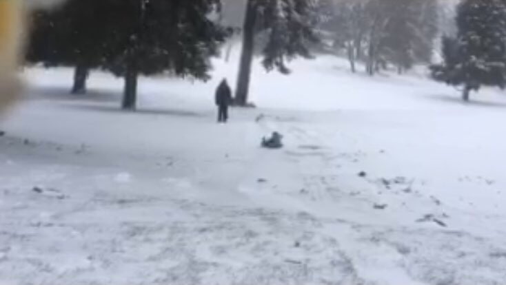 VirtualScholars's tweet photo. #VirtualScholars teacher Trask's #snowday pics. #pdxsnow #pdxtst Hey kids! After super sledding in #pdx, you CAN work #online! @CanvasLMS https://t.co/w3RaobBqQZ