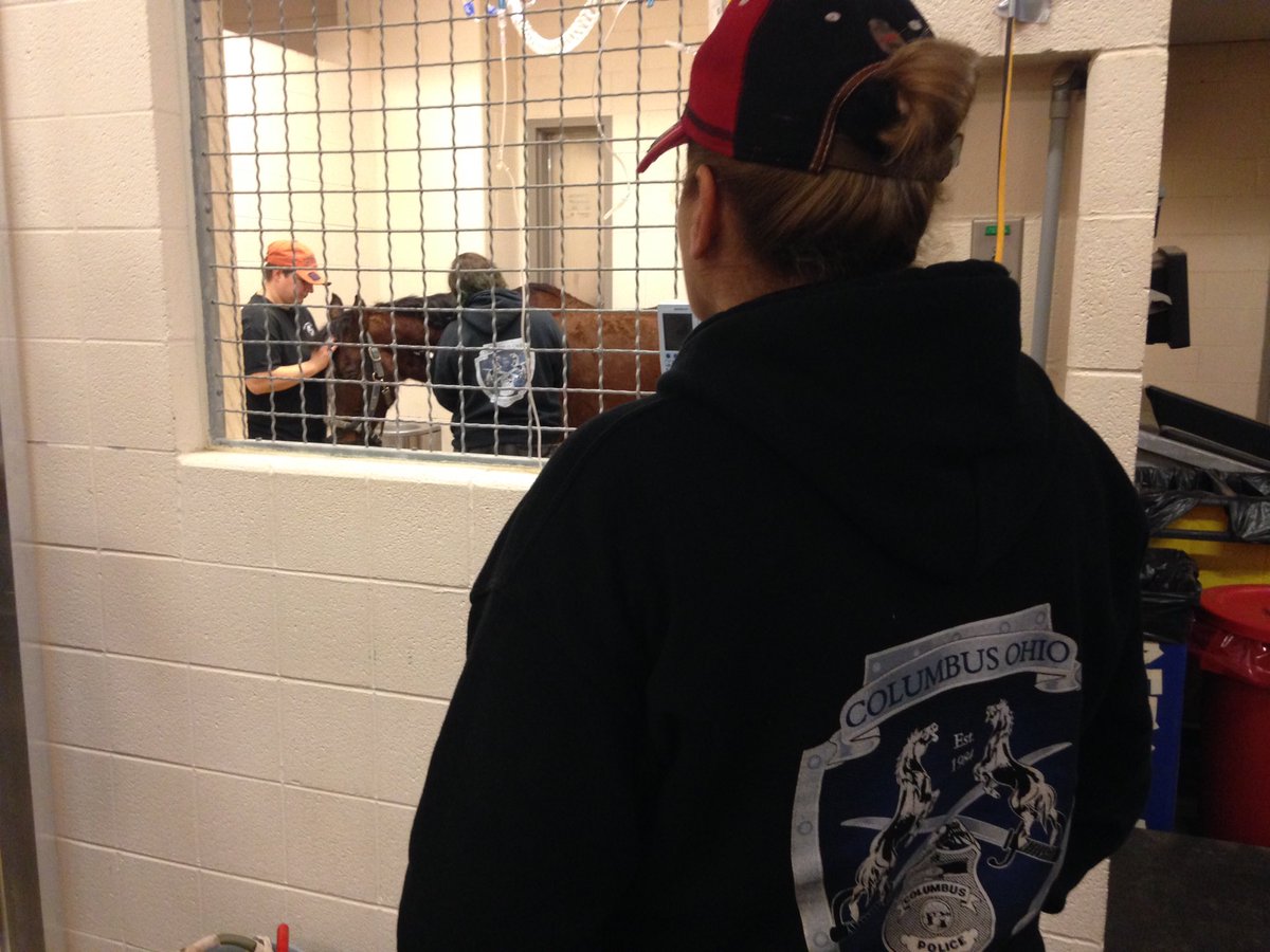 Willie is out of service: 6:20pm 🙏 RIP. Our Mounted Unit's strongest horse. 24 years old. 11 years serving CPD.