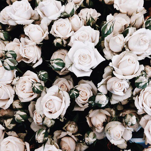 Ｎｙｍｐｈａｄｏｒａ (@colouredklutz) on Twitter photo 