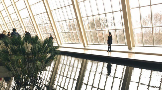 Take better photos with your phone.  Here's how.
ties.ly/v448Ln