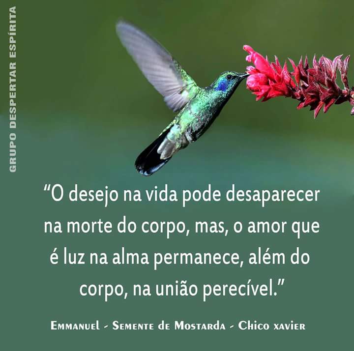 Kyano0's tweet photo. Boa noite... https://t.co/NwE26uesHn