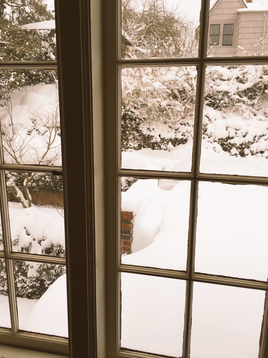 VirtualScholars's tweet photo. Hey VS kids! R you house-bound in #pdx? You CAN work #online! @CanvasLMS
#VirtualScholars Mentor Shannon's #snowday pics. #pdxsnow #pdxtst https://t.co/wNINOrp9lS