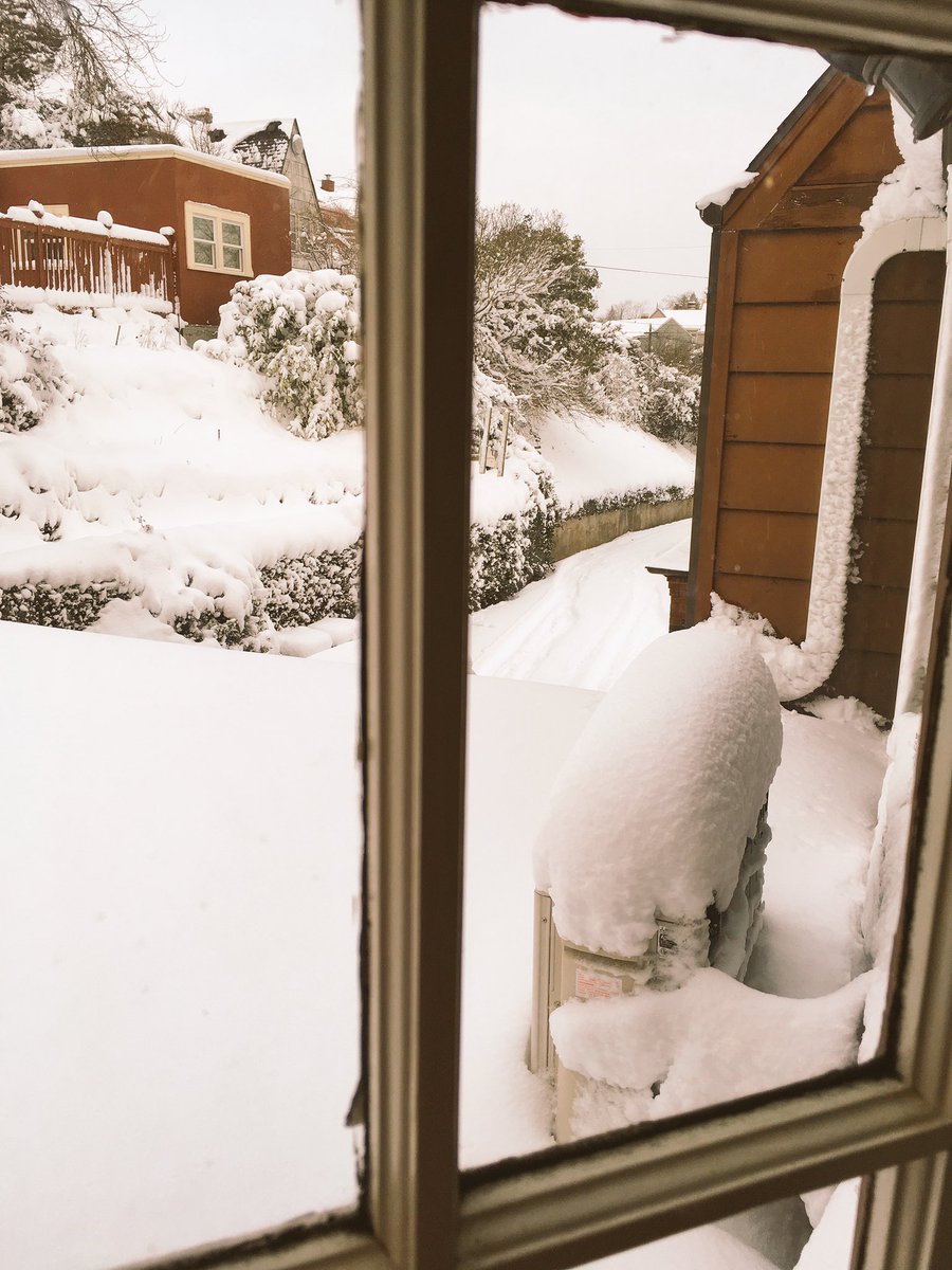 VirtualScholars's tweet photo. Hey VS kids! R you house-bound in #pdx? You CAN work #online! @CanvasLMS
#VirtualScholars Mentor Shannon's #snowday pics. #pdxsnow #pdxtst https://t.co/wNINOrp9lS
