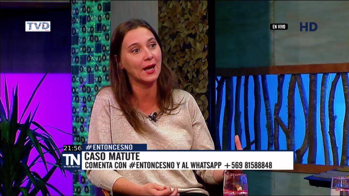 EvopoliBiobio's tweet photo. "Me preocupan las expectativas que genero la jueza ayer, debería ser más cauta en sus declaraciones" @franparodi #ENTONCESNO @TVU_television https://t.co/KYLa1c1IjR