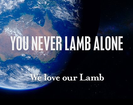 struanp's tweet photo. 2017 @meatlivestock #lamb campaign launched.. https://t.co/wCMntsbAzf https://t.co/All5sMYd4P