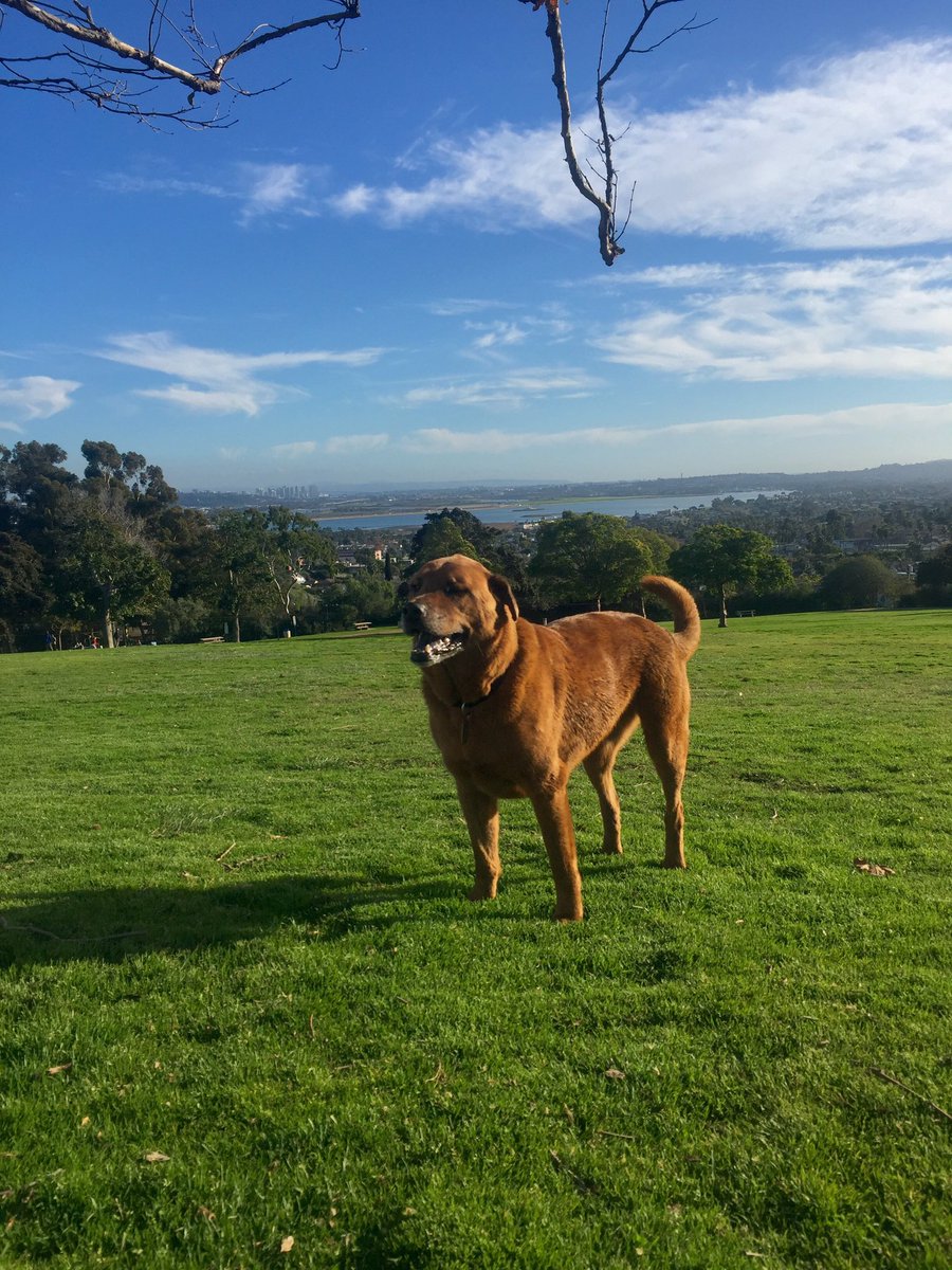 beastsNballers's tweet photo. Beautiful day for a stroll in the payk 🌳 https://t.co/LDjkSBcRLw