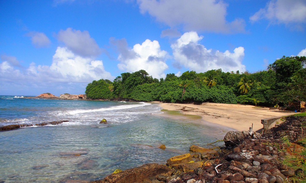 UncommonCarib's tweet photo. The uncommonly white sand beaches of Calibishie, #Dominica https://t.co/y1t1hH0cow @Nature_Island #travel https://t.co/4i9RzXWeET