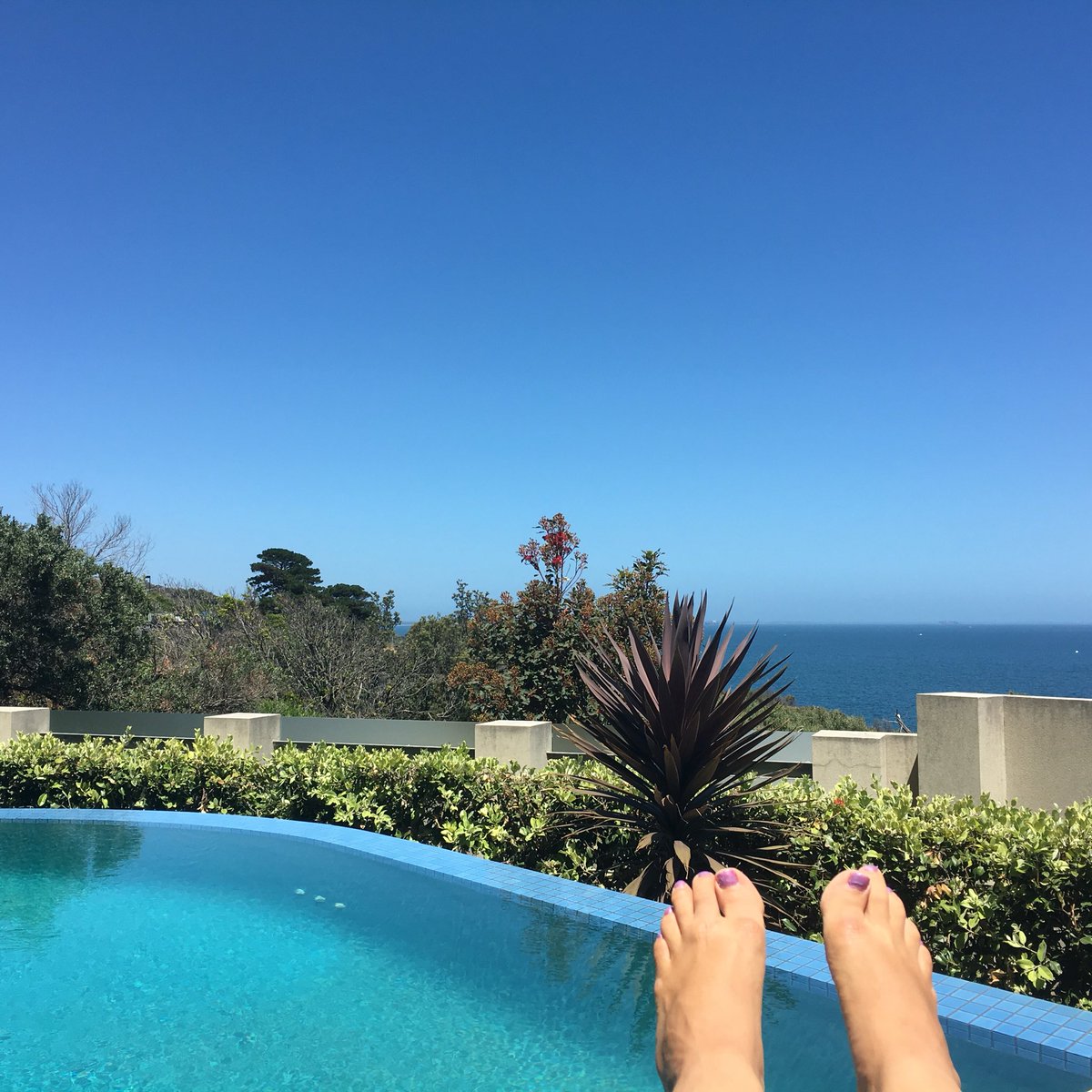Loving life by the #poolwithaview @fareitalian_kiss_me_by_the_sea #mountmartha  #foodieonholiday Going be hard to head back to work Monday 😫