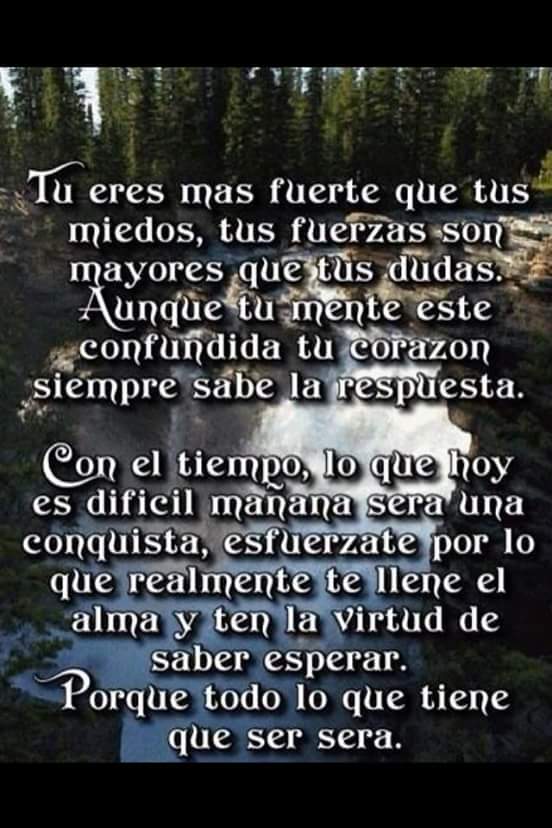 Roberto Sanchez (@06b467b98618410) on Twitter photo 