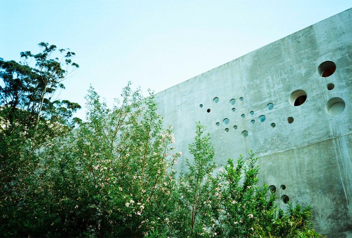 BonShepherd's tweet image. #holy #wall #houtbay