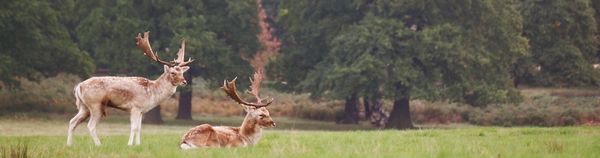 Popular Science tweet media