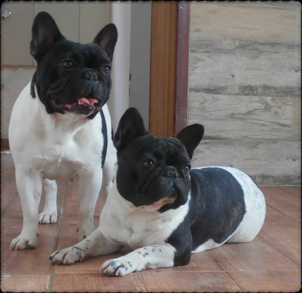 halgorder101's tweet image. 😍😍😉