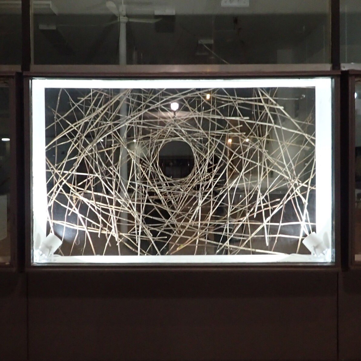 Late night capture of David Jacob Harder's window installation at the <a href="/nte_dpg/">NTE|DPG</a> studio.
<a href="/_LivingLabs/">LivingLabs</a> #sculpture #artwithnature <a href="/DowntownPG/">Downtown PG</a>