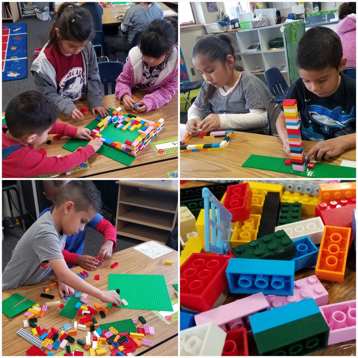 MaestraJara's tweet image. More from our intro to coding with Legos day! @BosLangAcademy @CajonValleyUSD #kinderrocks #kinderbilingue #codinginkinder #legocoding